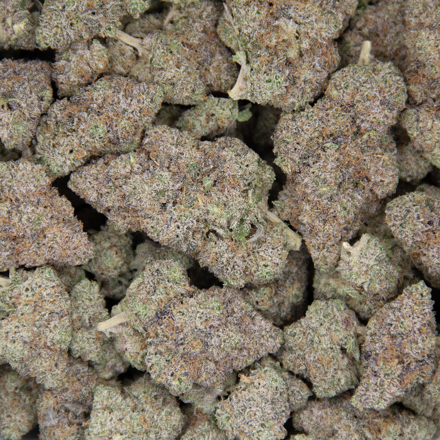 Blue Dream AAA+ - Image 3