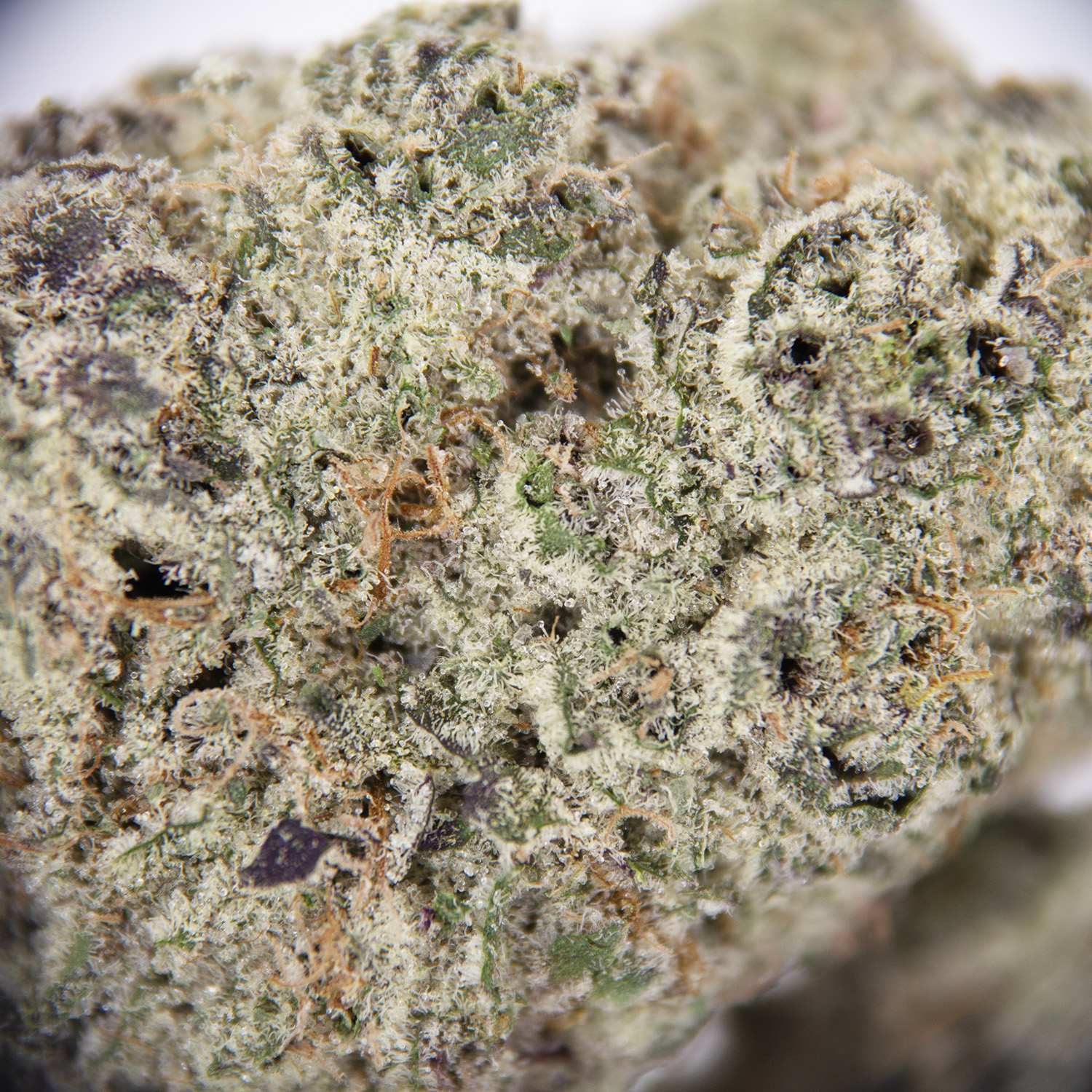 Detroit Runtz AAAA+ - Image 2