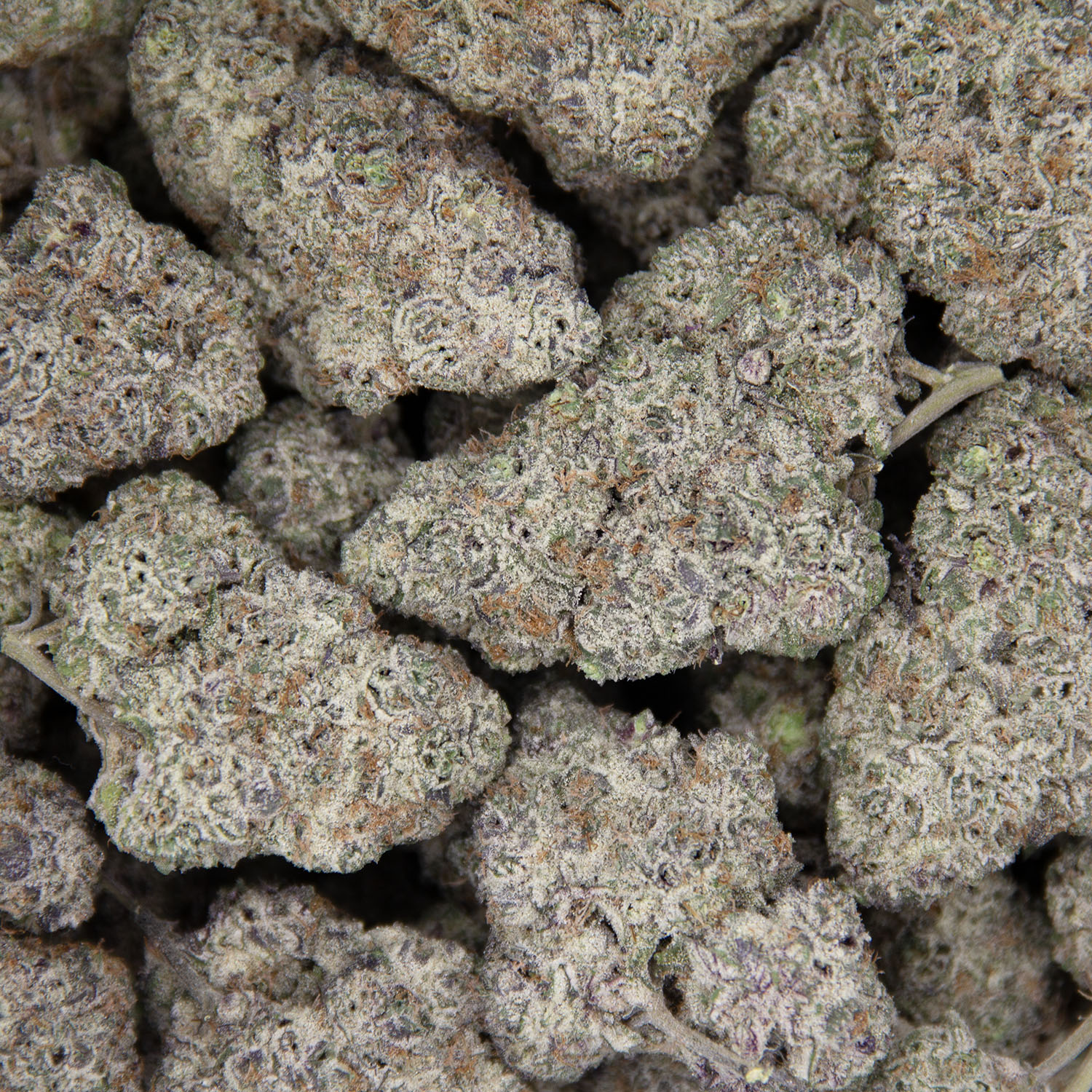 Detroit Runtz AAAA+ - Image 3