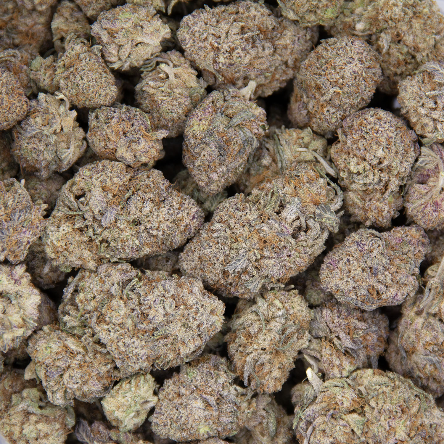 Gelato AAA - Image 3