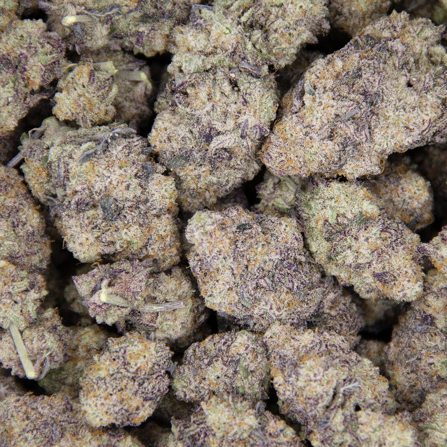 Purple Gelato AAA+ (1) copy BAG