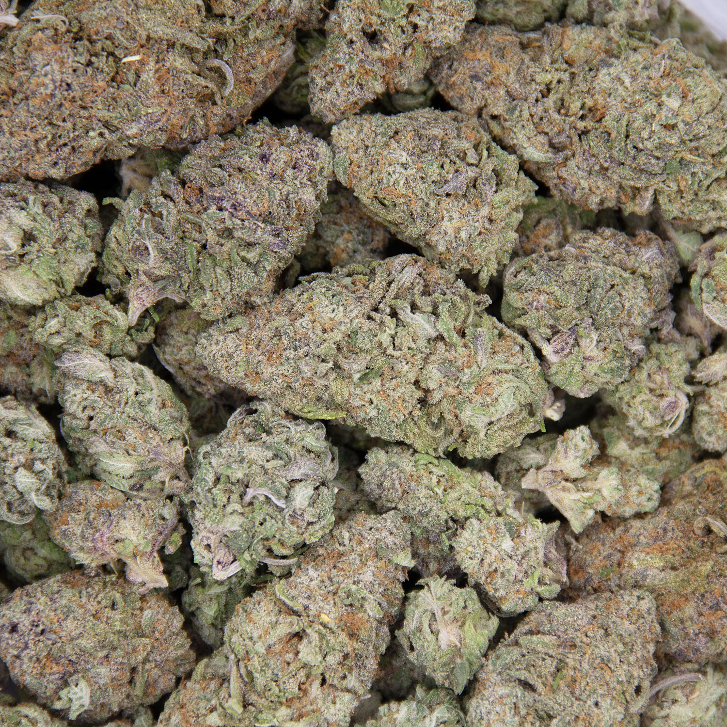 Super Lemon Haze AAA- - Image 3