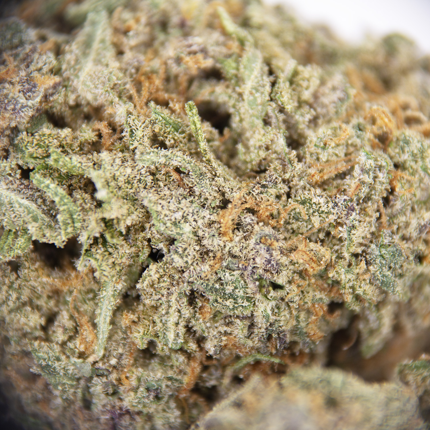 Super Lemon Haze AAA- - Image 2