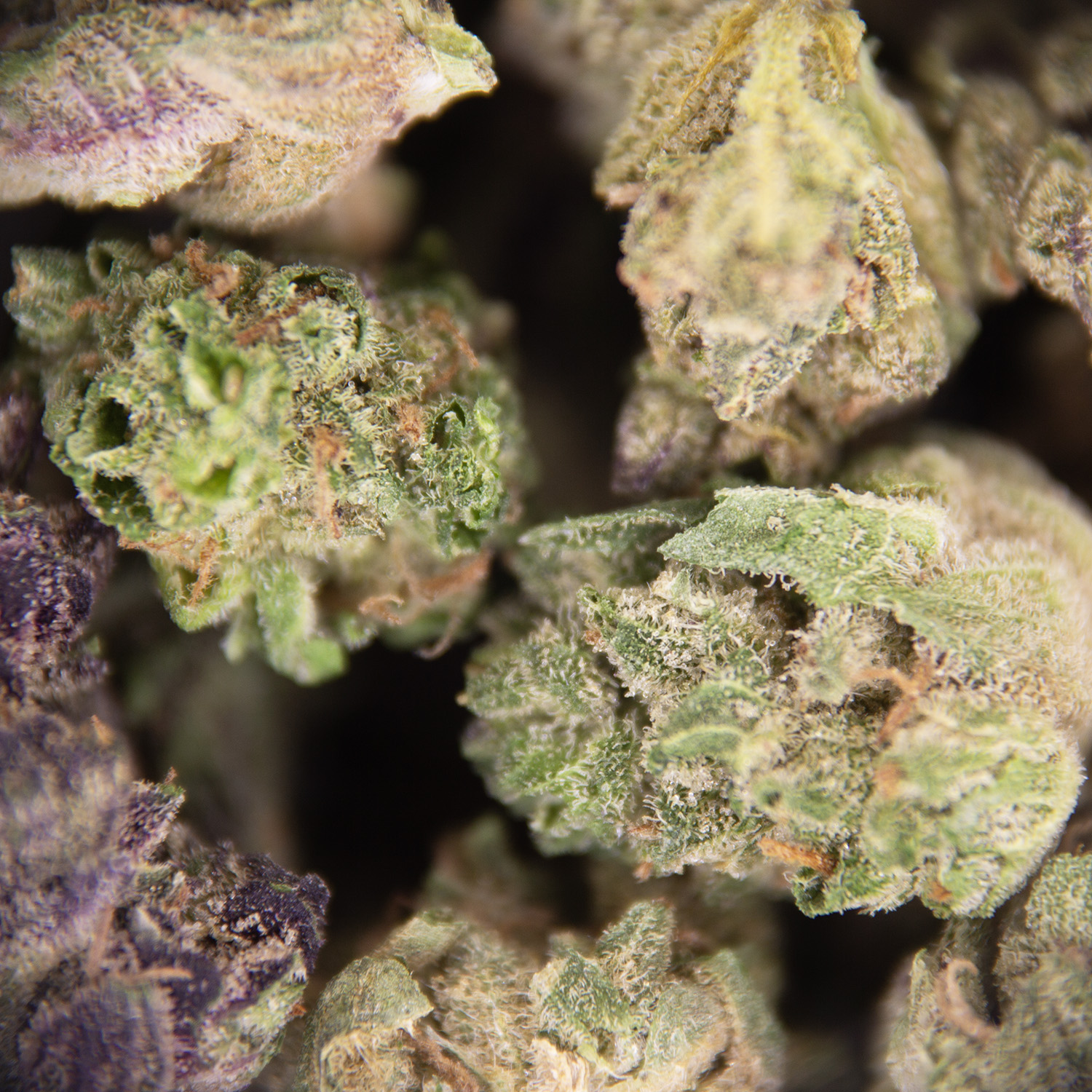 Grease Gun (smalls) AA - Image 2