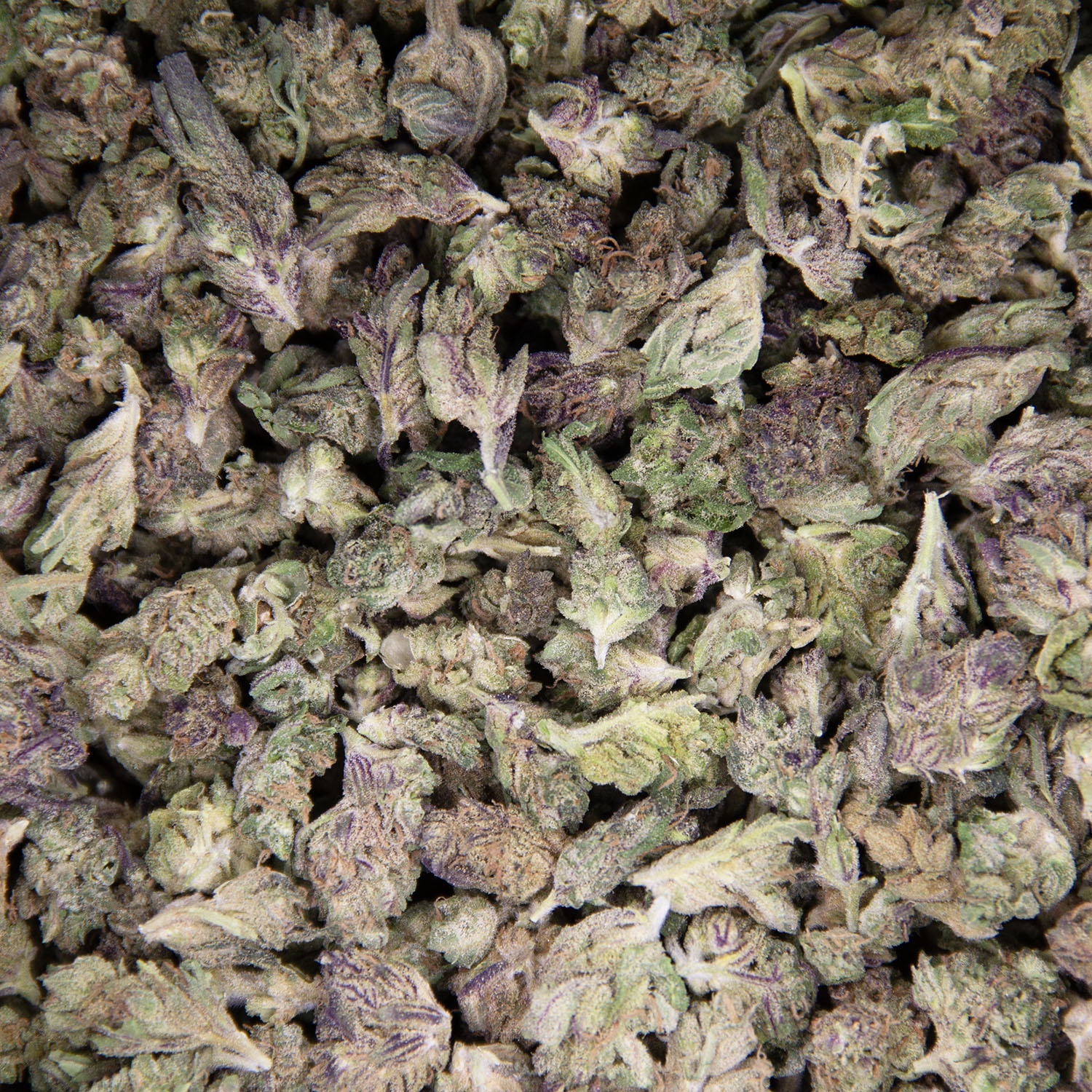 Grease Gun (smalls) AA - Image 3