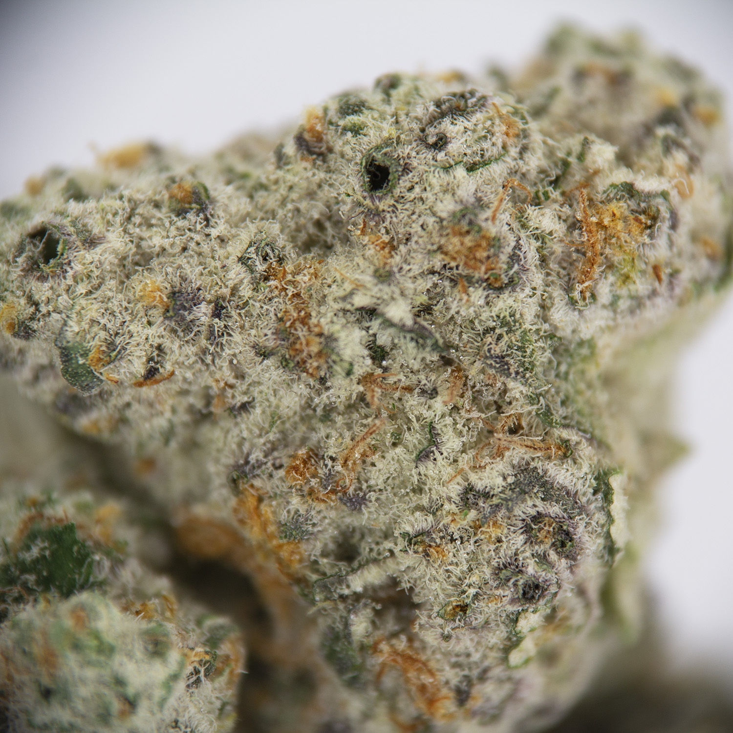 Quicksilver (smalls) AAAA - Image 2