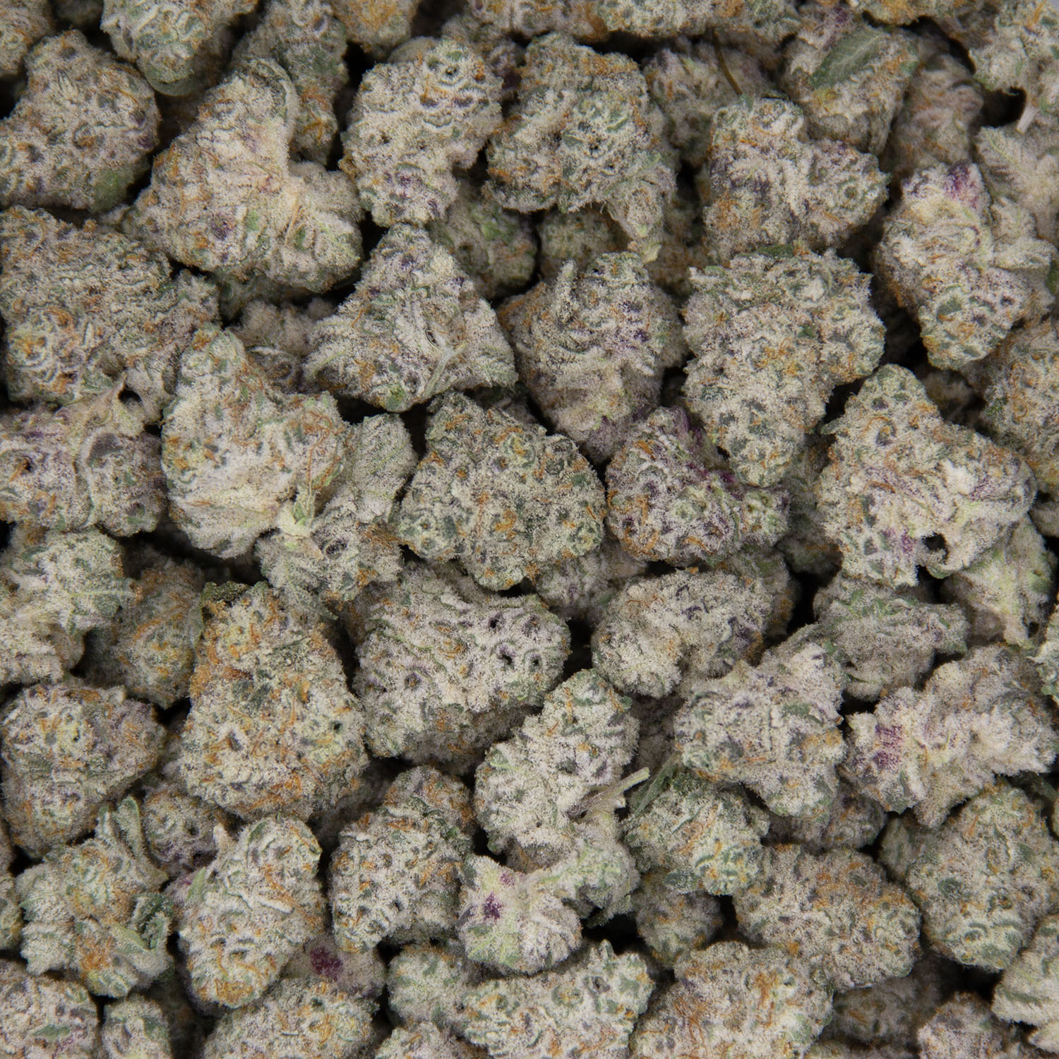 Quicksilver (smalls) AAAA - Image 3