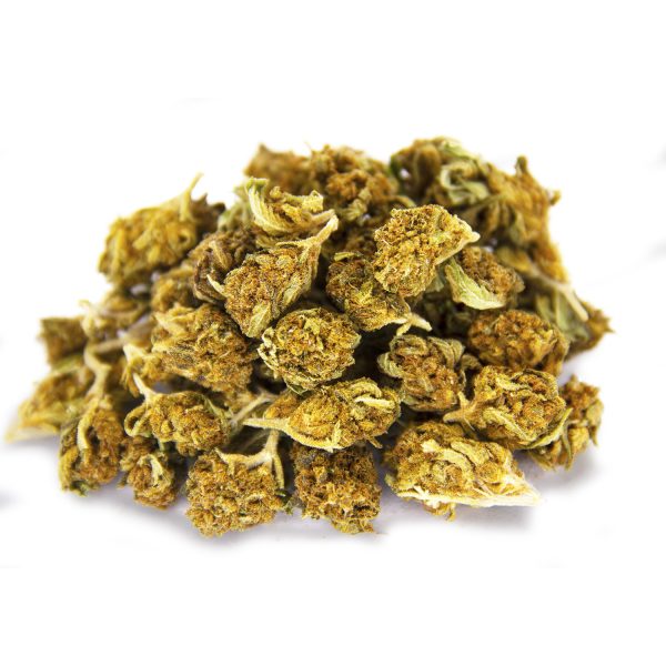 Alien Dawg (popcorn) AA