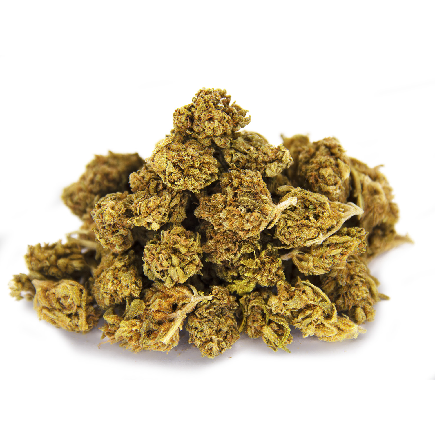 Colombian Gold (popcorn) AA