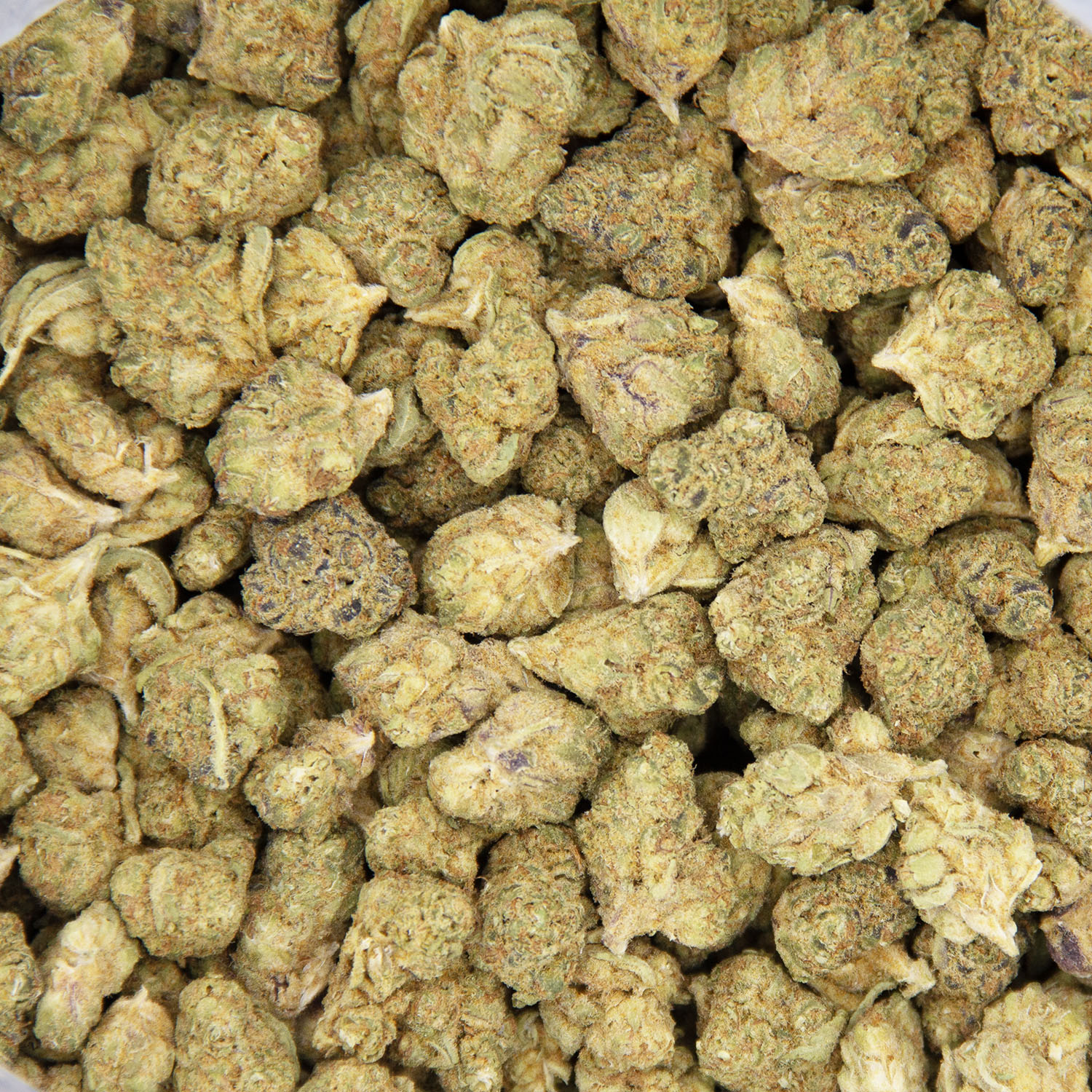 G-13 (smalls) AA - Image 3