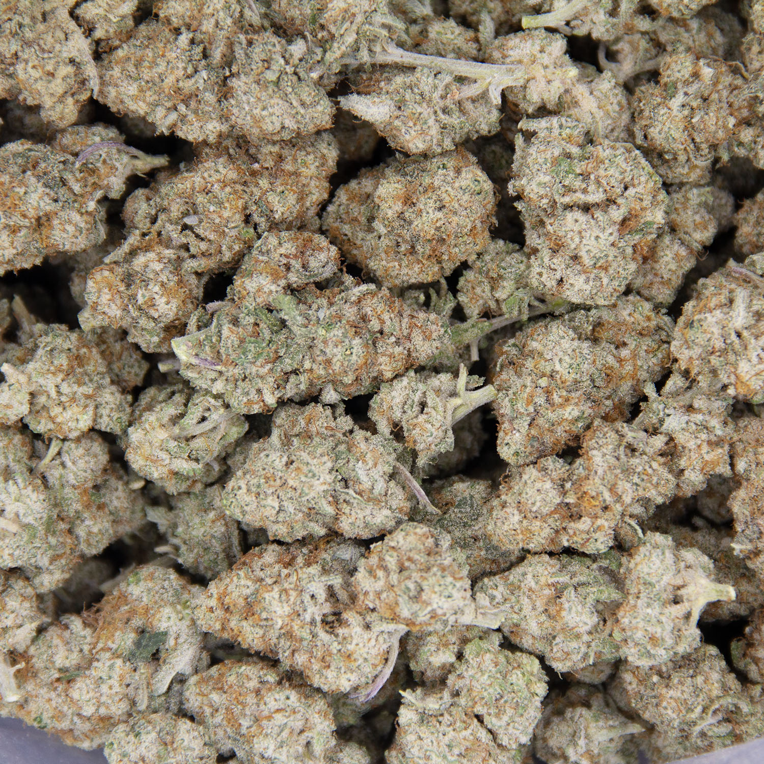 MAC (mediums) AAA - Image 3