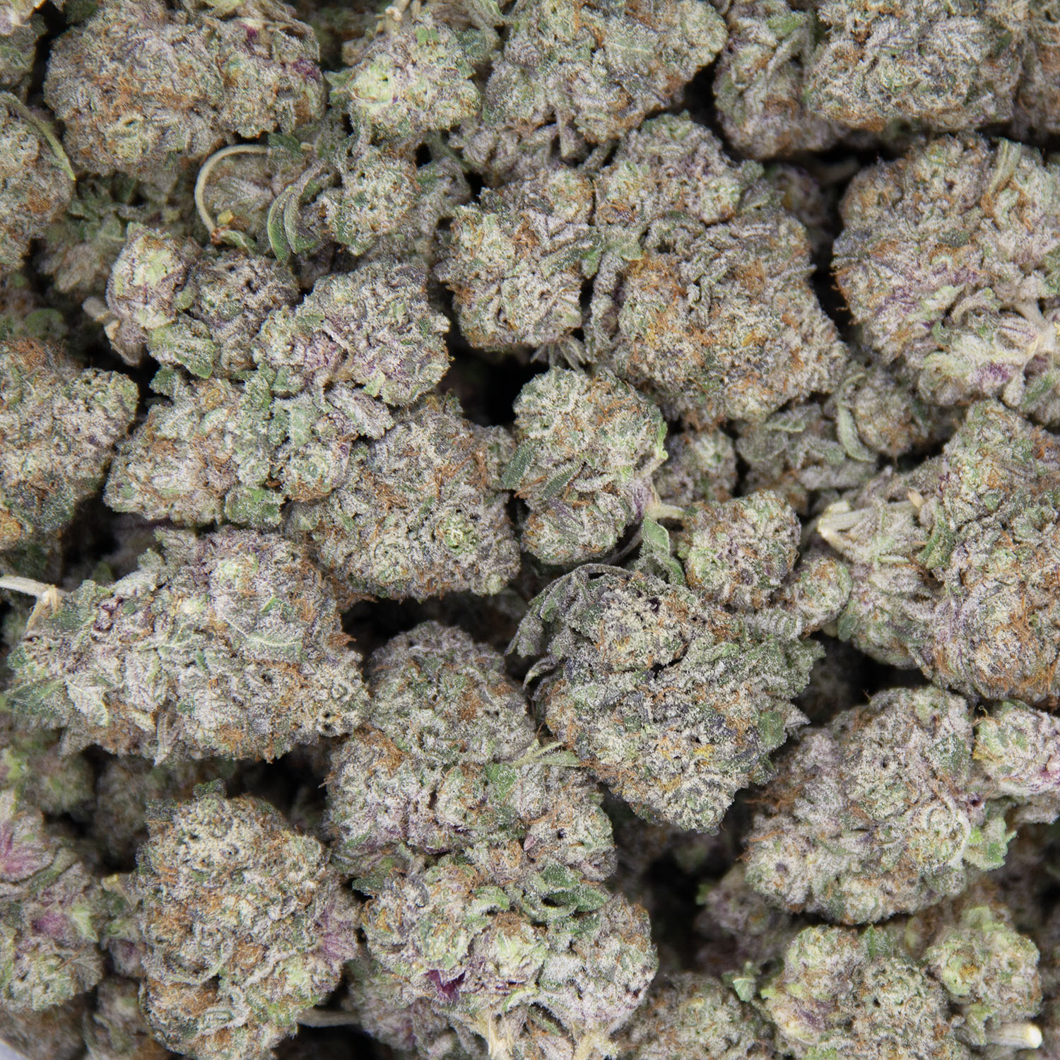 Purple Cherry AAA- - Image 3