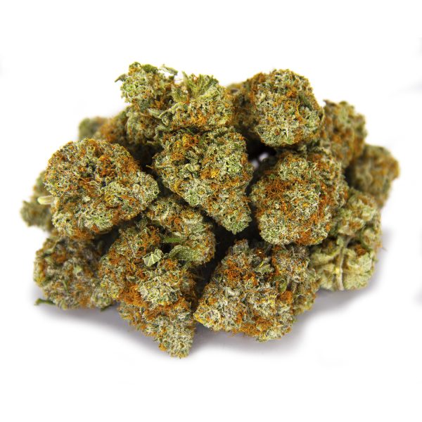 Scout Master (mediums) AAA