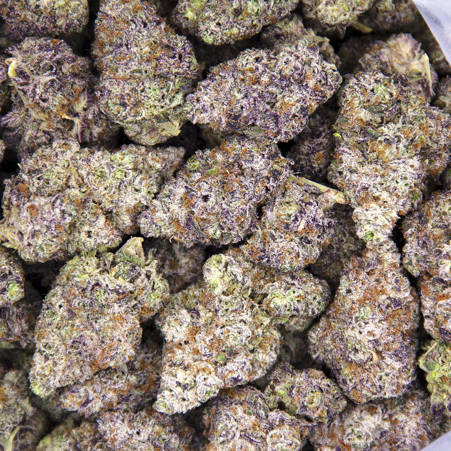 Super Boof AAAA - Image 2