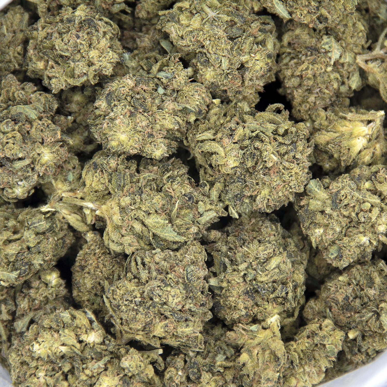 Lemon Skunk AA - Image 2