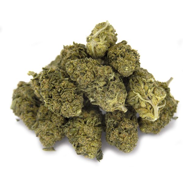 Sour Cheese AA