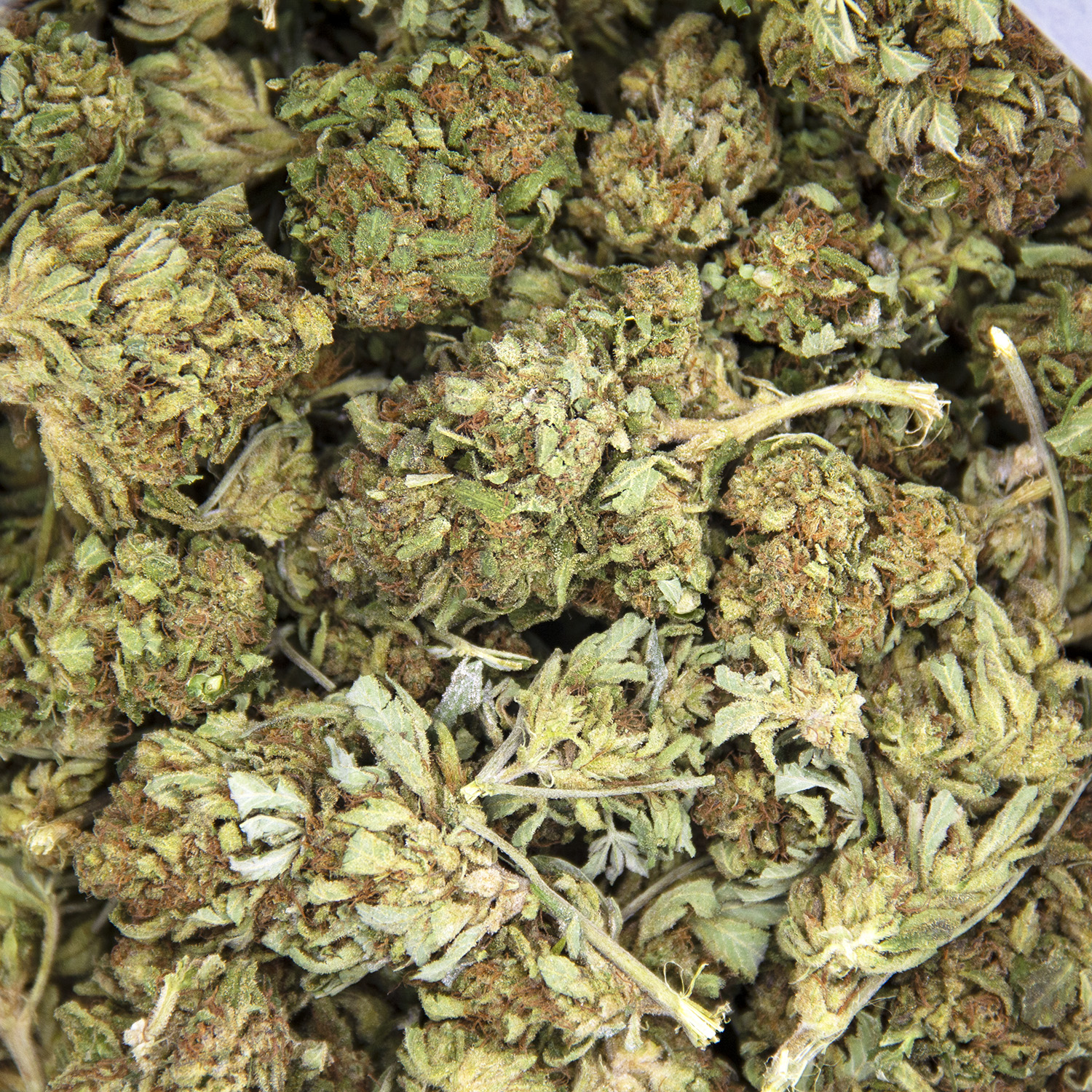 Juicy Fruit AA- - Image 3