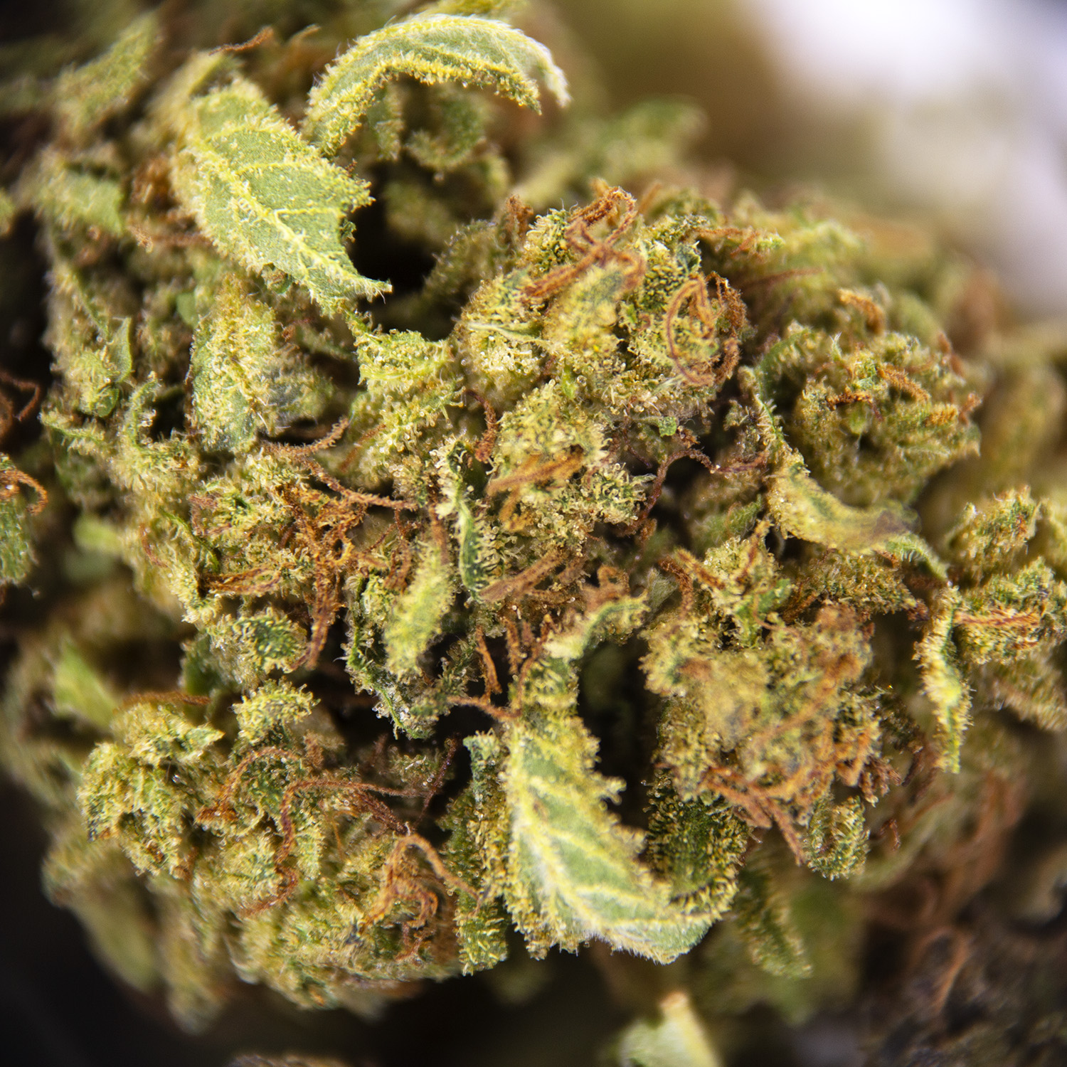 Juicy Fruit AA- - Image 2
