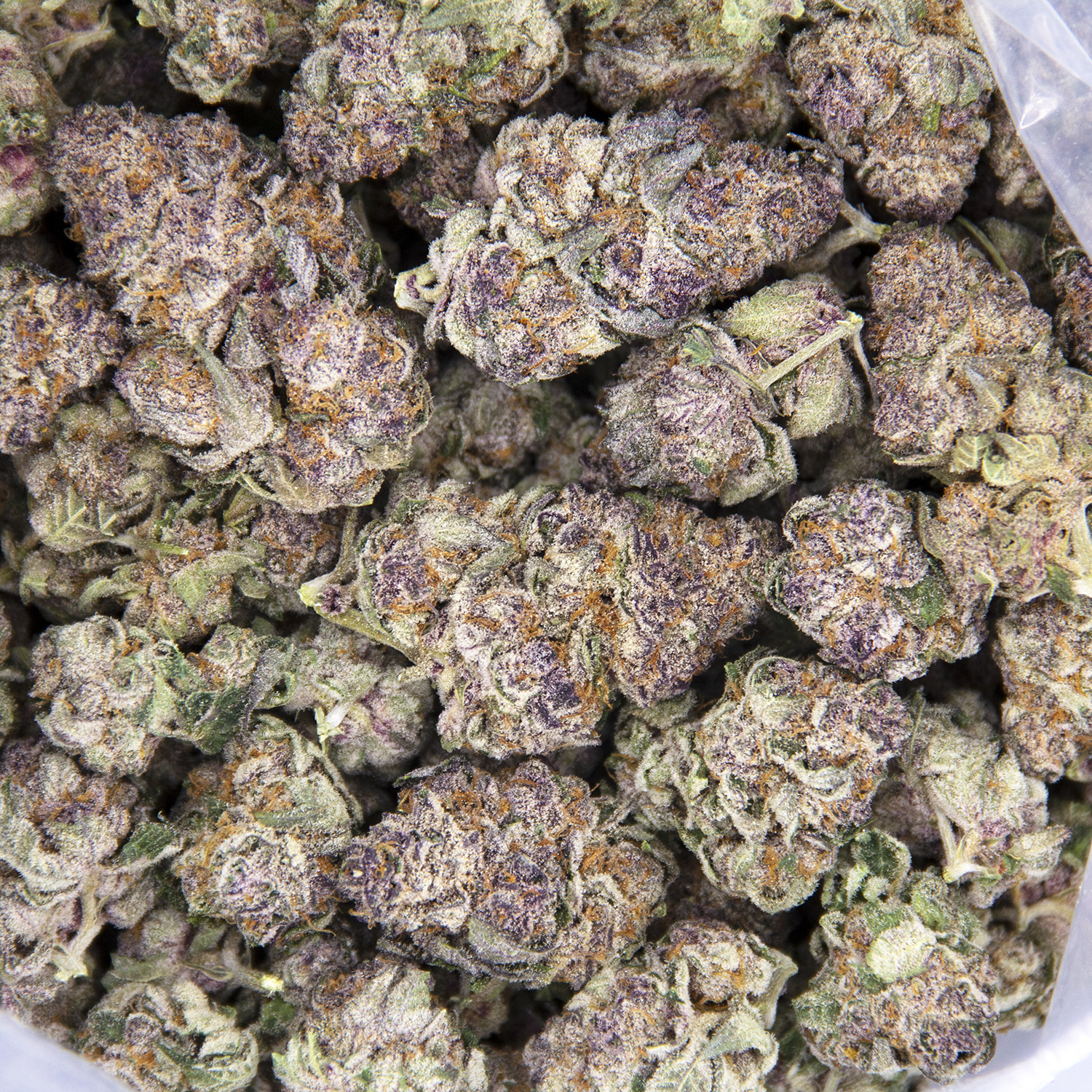 Cherry Haze AAA - Image 2