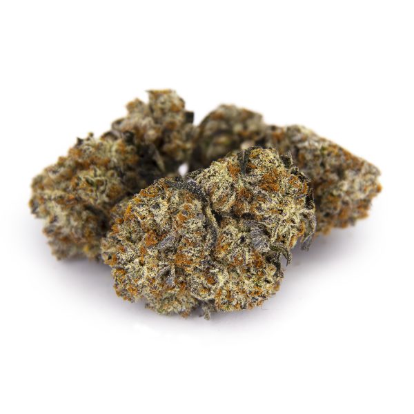 Chocolate Hashberry AAA+