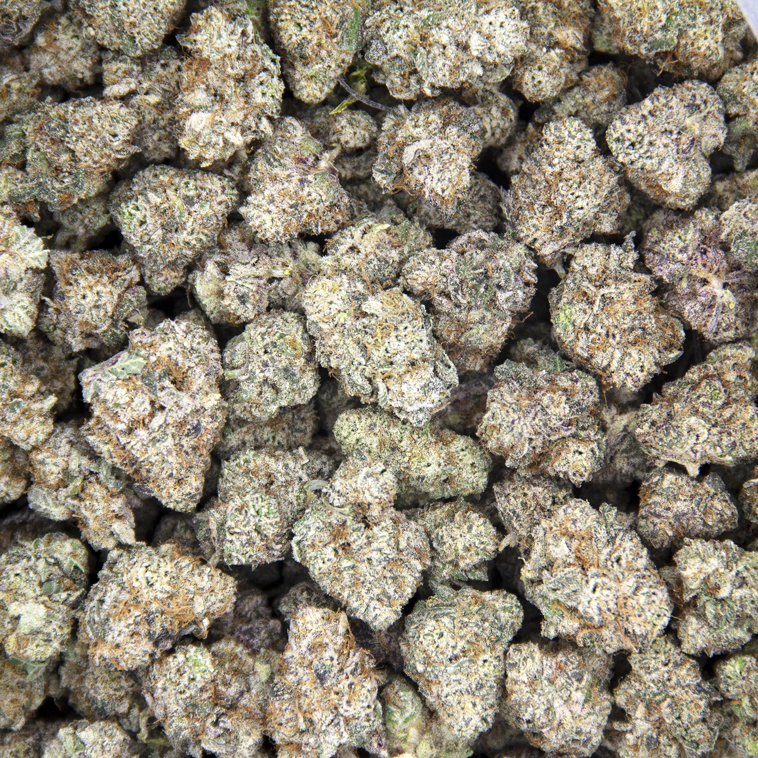 Wedding Cake (smalls) AAA - Image 3