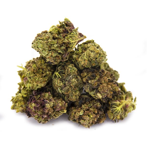 Zookies AA
