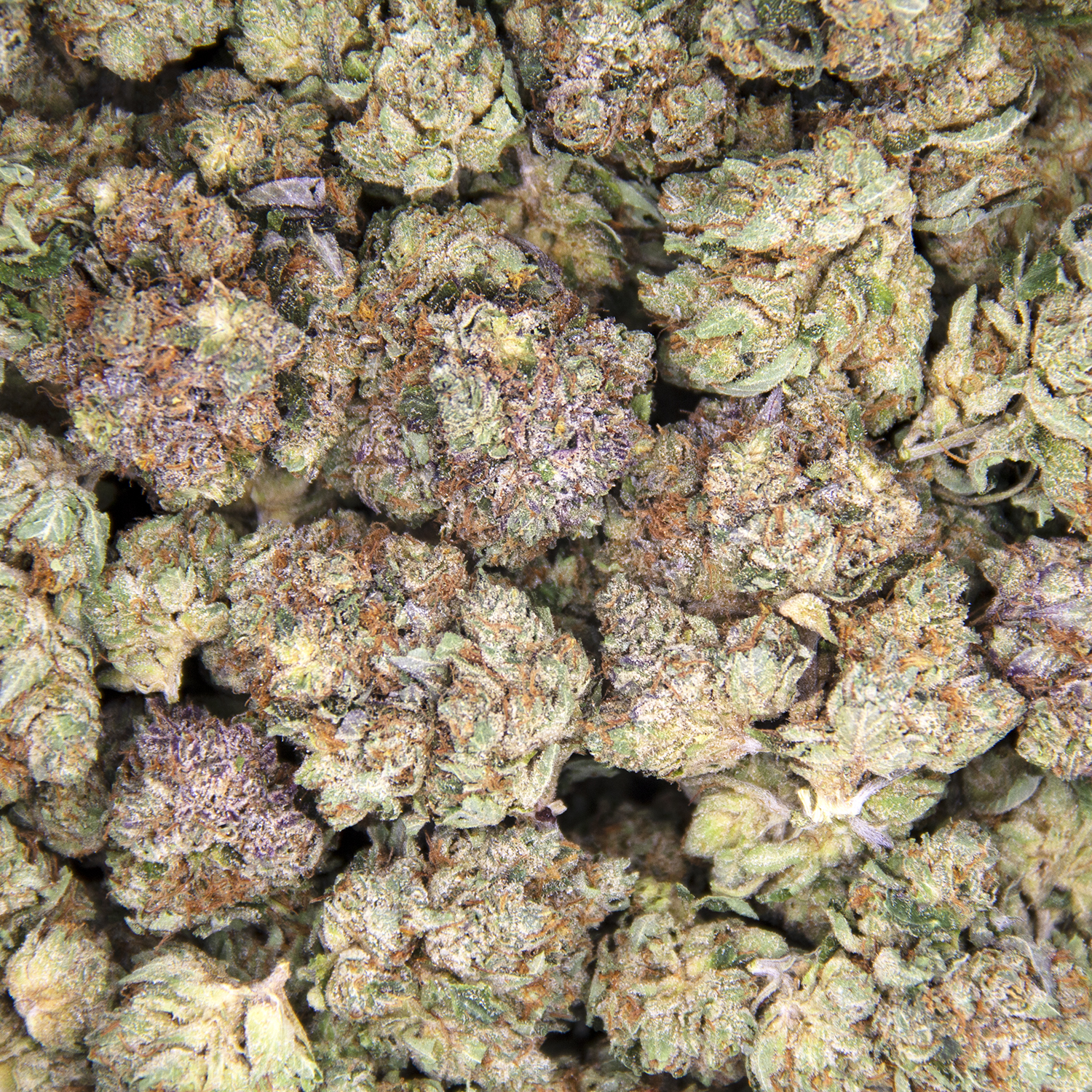 Afghan Goo (mediums) AAA - Image 2