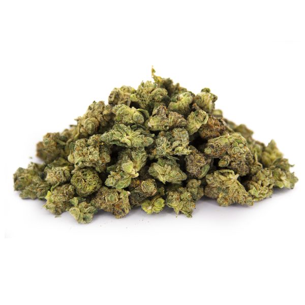 King Tut (smalls) AA+