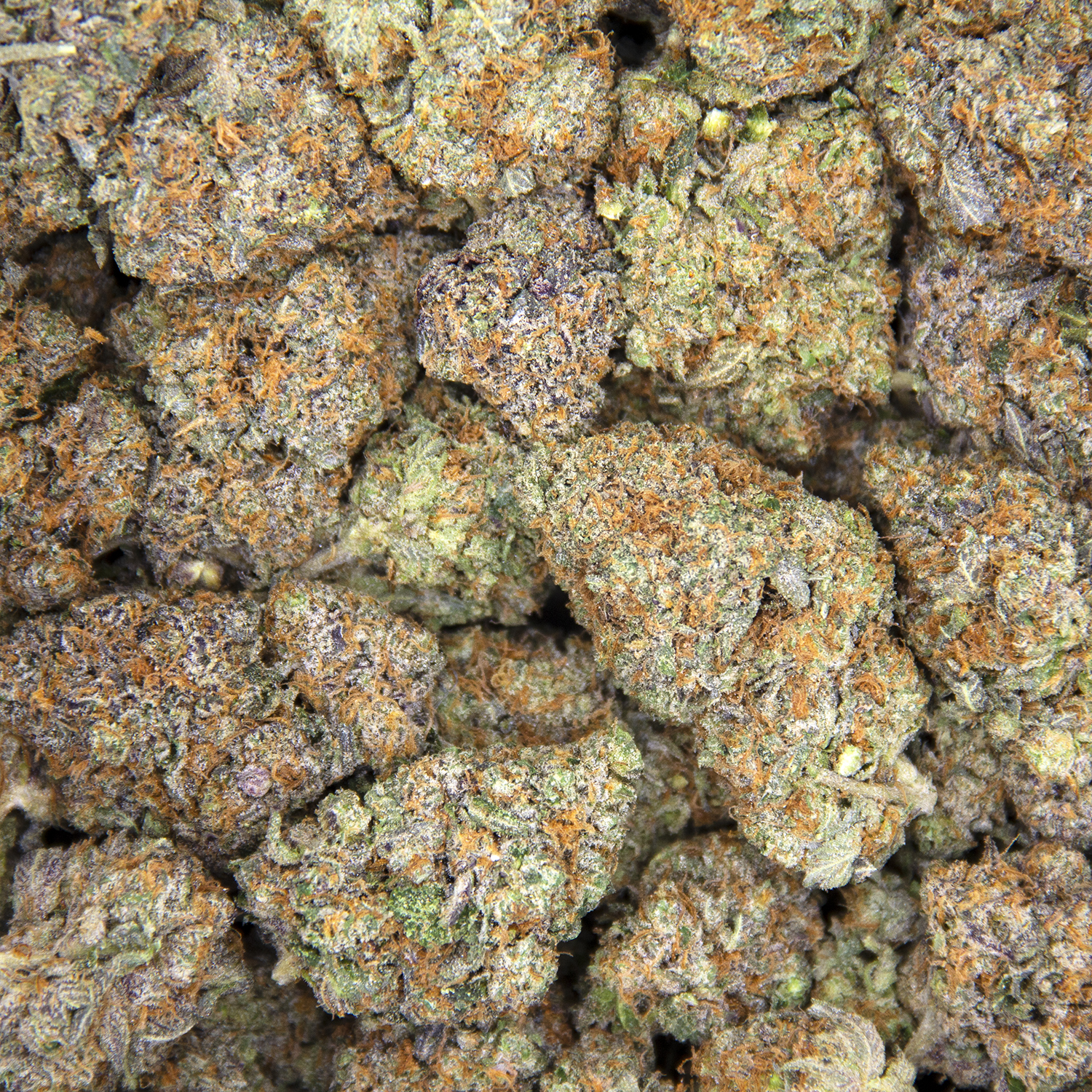Lucky Charms (mediums) AAA - Image 3